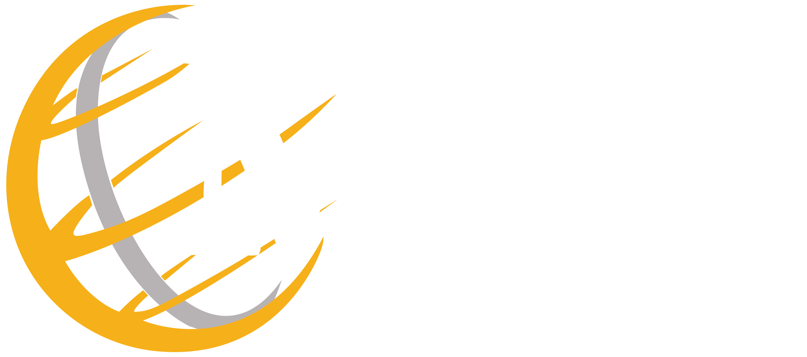 Logo MDI Tack